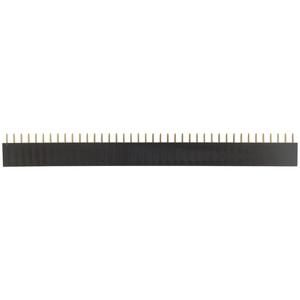 40 Pin Female Header Strip - techexpress nz