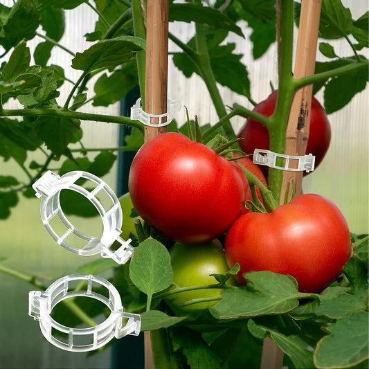 100pcs White 2.5cm Reusable Tomato Plant & Vine Stem Clips
