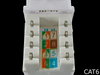 White Cat6 Certified Keystone RJ45 Jack - techexpress nz